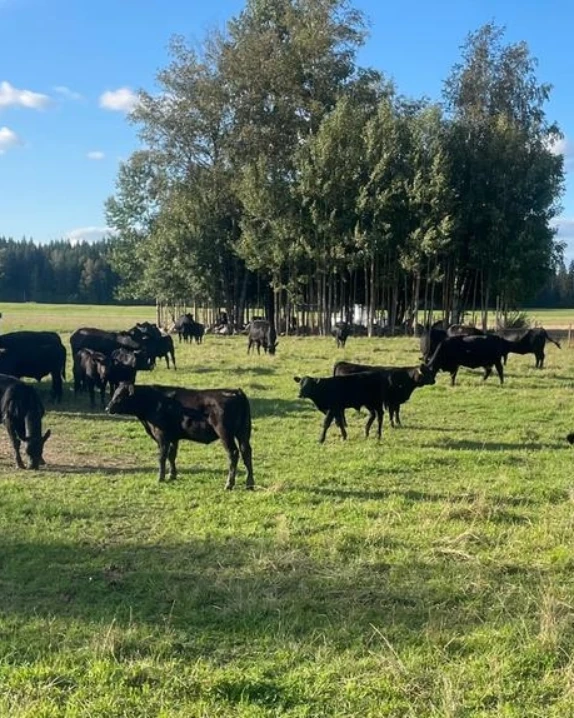 IMG_20231214_164256_904